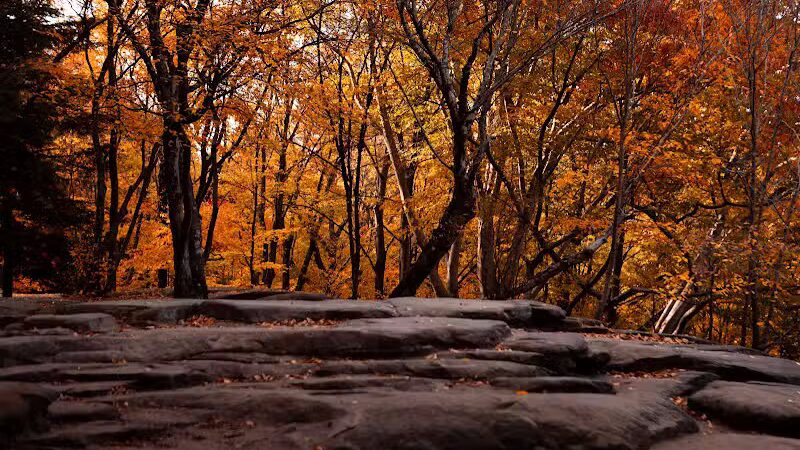 Virginia Kendall Area - Peninsula, OH