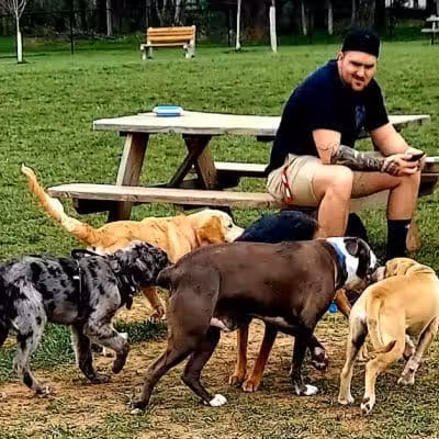 Speelhoffer Dog Park - PERKIOMENVLLE, PA