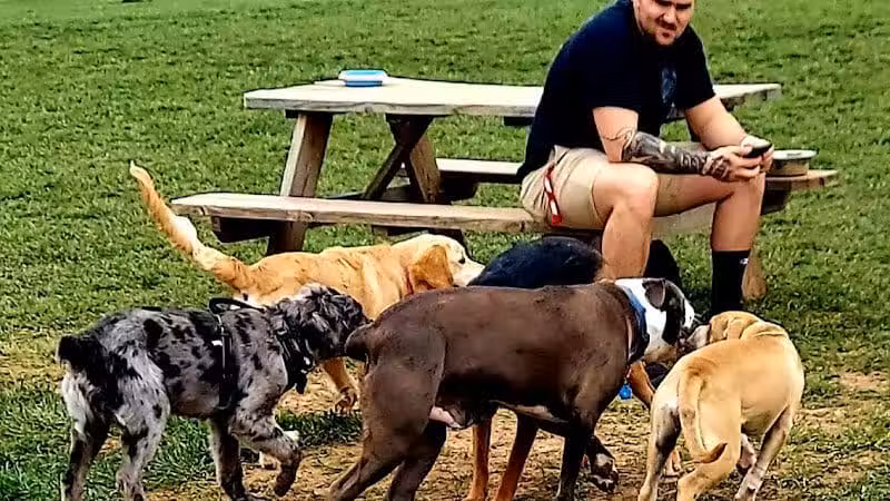 Speelhoffer Dog Park - PERKIOMENVLLE, PA