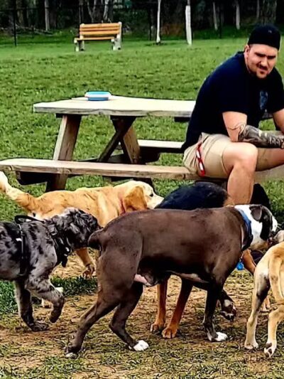 Speelhoffer Dog Park - PERKIOMENVLLE, PA