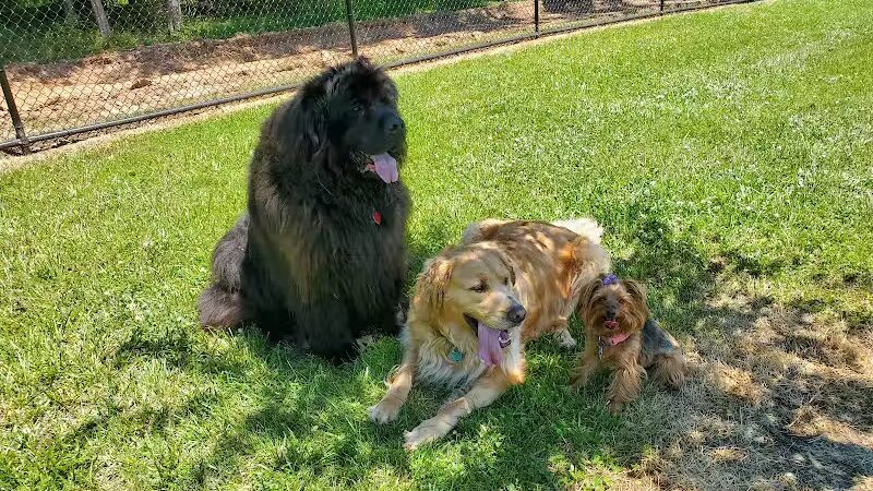 Speelhoffer Dog Park - PERKIOMENVLLE, PA