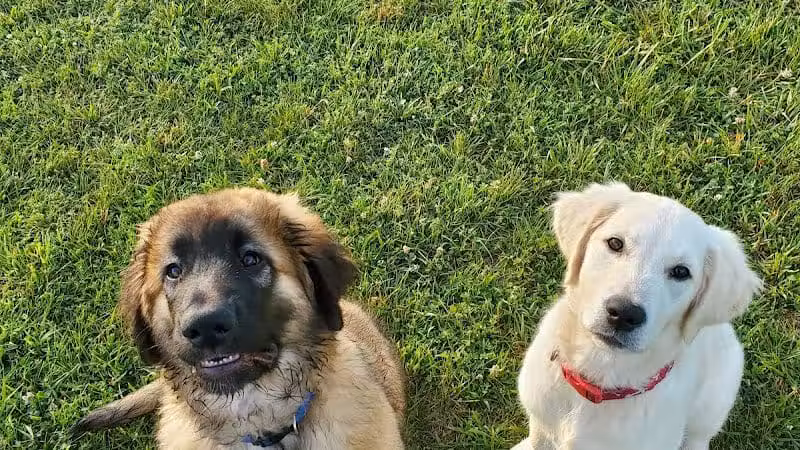 Speelhoffer Dog Park - PERKIOMENVLLE, PA