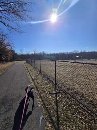 Speelhoffer Dog Park - PERKIOMENVLLE, PA