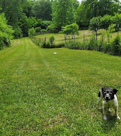 Canine Paradise - Perry, OH