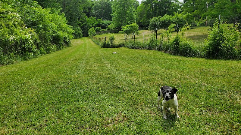 Canine Paradise - Perry, OH