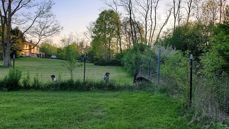 Canine Paradise - Perry, OH