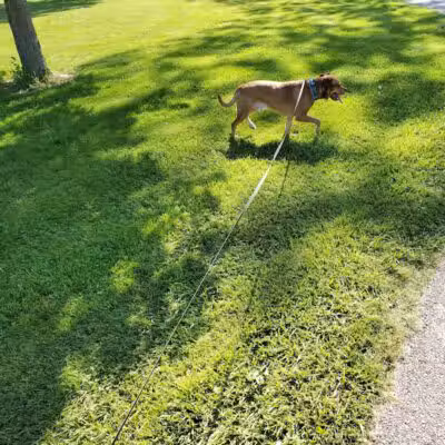 Lee Lydic Park - Perry, OH