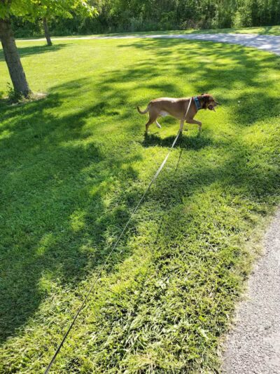 Lee Lydic Park - Perry, OH