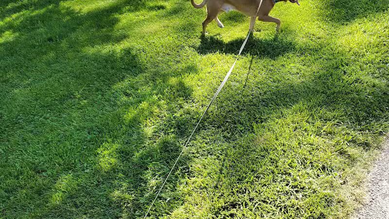 Lee Lydic Park - Perry, OH