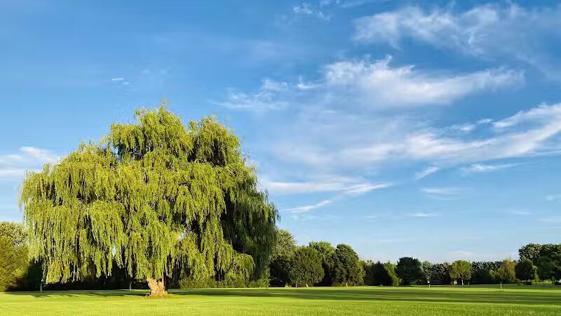 Lee Lydic Park - Perry, OH