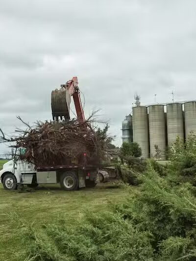 Pettisville Community Park - Pettisville, OH
