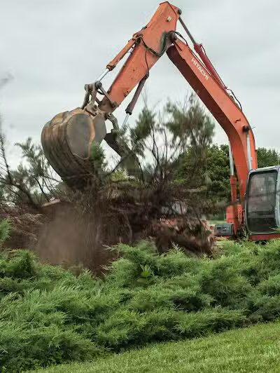Pettisville Community Park - Pettisville, OH