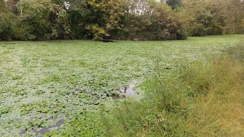 Longford Park/Reynolds' Dog Park - Phoenixville, PA