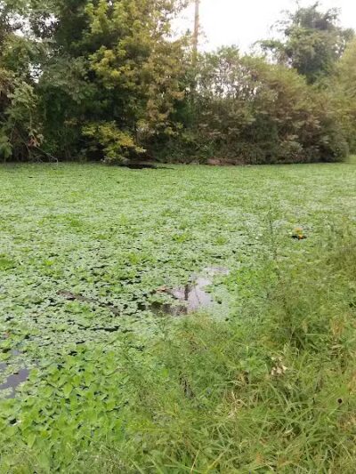 Longford Park/Reynolds' Dog Park - Phoenixville, PA