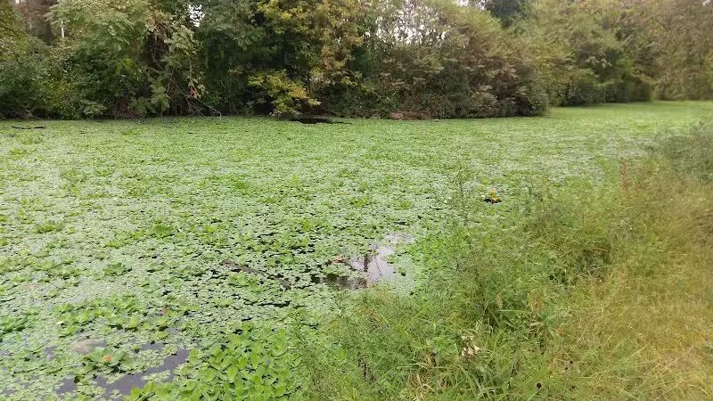 Longford Park/Reynolds' Dog Park - Phoenixville, PA