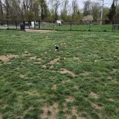 Longford Park/Reynolds' Dog Park - Phoenixville, PA