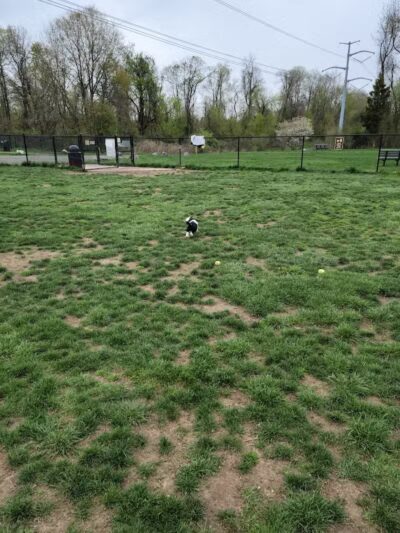Longford Park/Reynolds' Dog Park - Phoenixville, PA