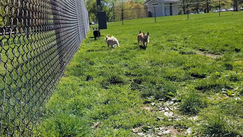 Longford Park/Reynolds' Dog Park - Phoenixville, PA
