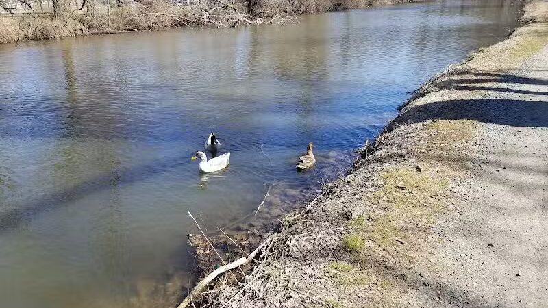 Longford Park/Reynolds' Dog Park - Phoenixville, PA