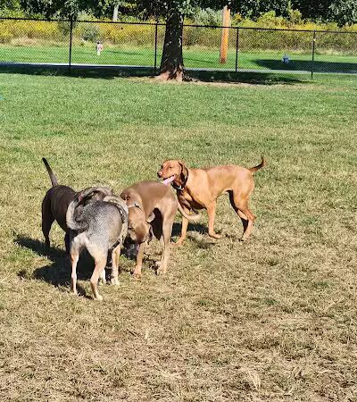 Longford Park/Reynolds' Dog Park - Phoenixville, PA