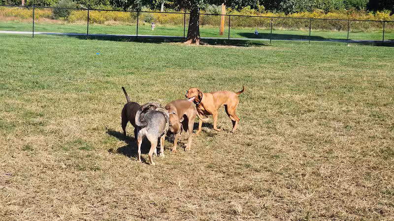 Longford Park/Reynolds' Dog Park - Phoenixville, PA