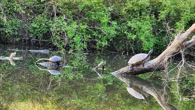 Longford Park/Reynolds' Dog Park - Phoenixville, PA