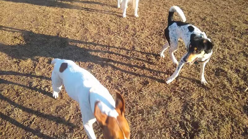 Longford Park/Reynolds' Dog Park - Phoenixville, PA