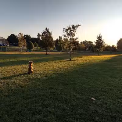 Violet Township Dog Park - Pickerington, OH
