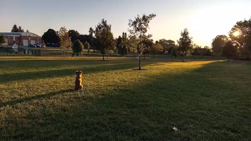 Violet Township Dog Park - Pickerington, OH