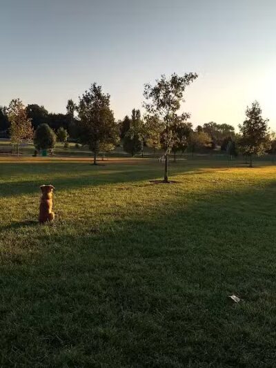 Violet Township Dog Park - Pickerington, OH