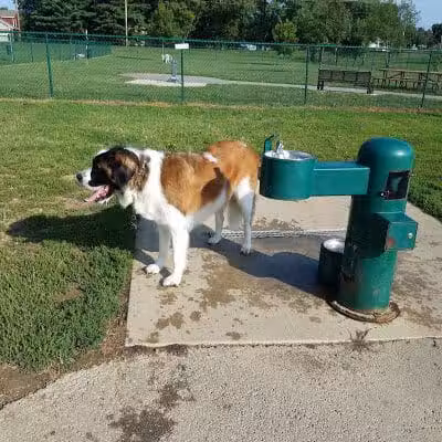 Violet Township Dog Park - Pickerington, OH