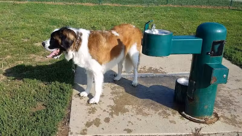 Violet Township Dog Park - Pickerington, OH
