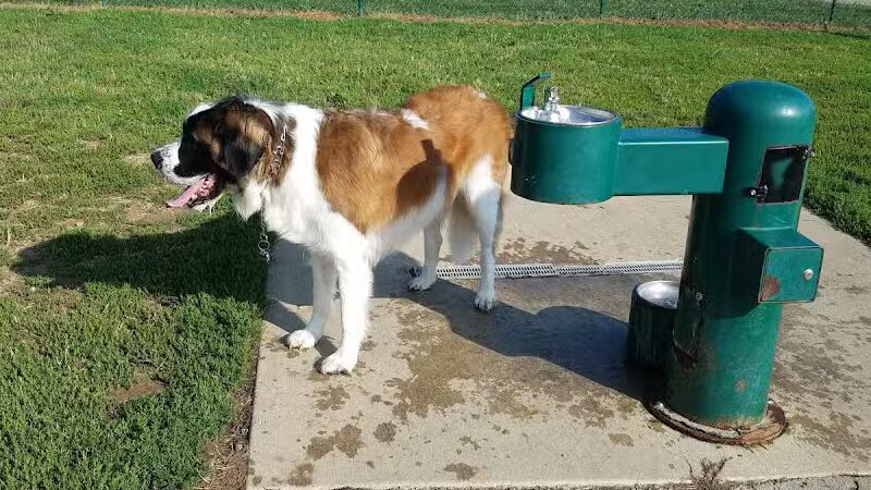 Violet Township Dog Park - Pickerington, OH