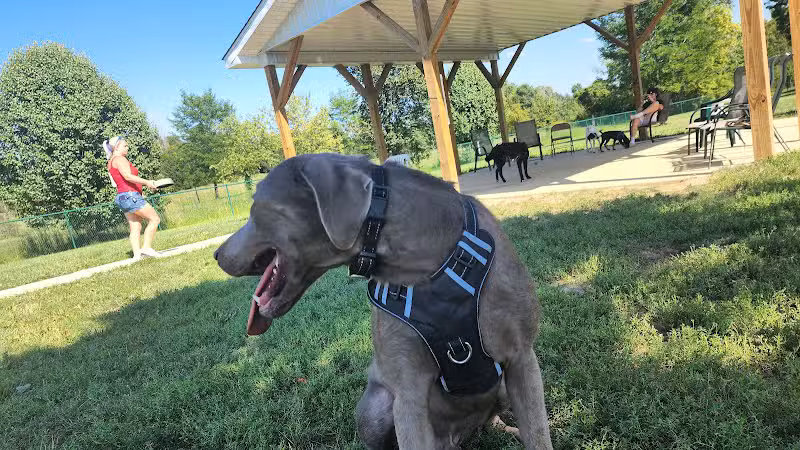 Violet Township Dog Park - Pickerington, OH