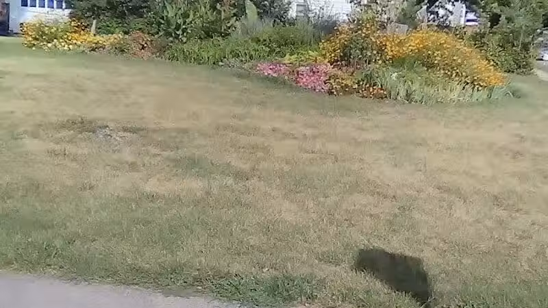 Das Park - Piqua, OH