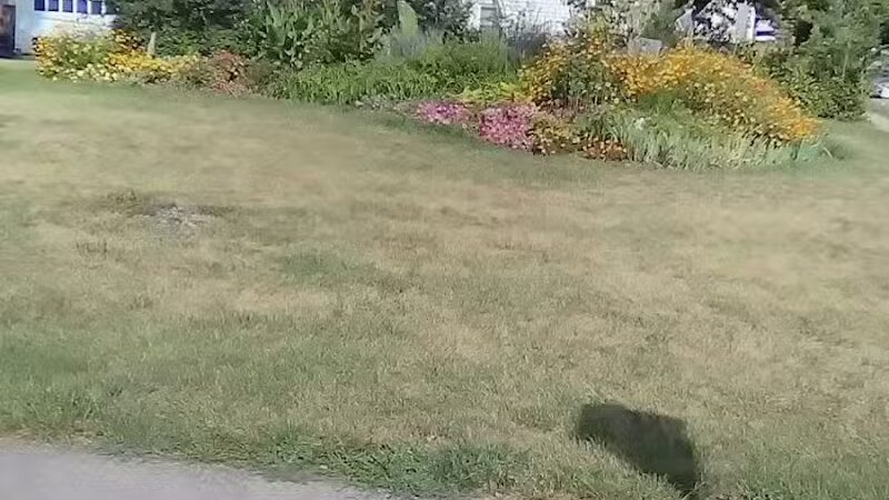 Das Park - Piqua, OH