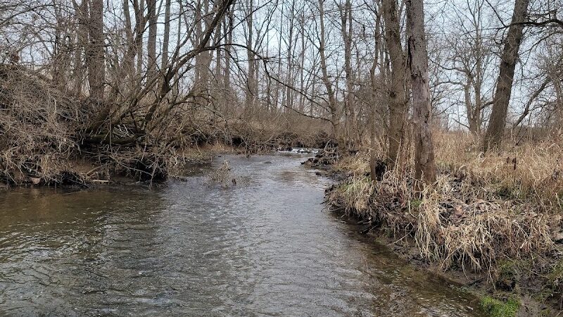 Garbry Big Woods Reserve - Piqua, OH