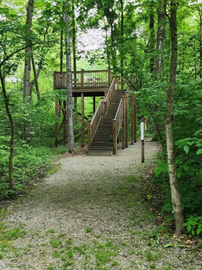 Garbry Big Woods Reserve - Piqua, OH