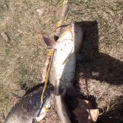 Rivers Edge Park - Piqua, OH