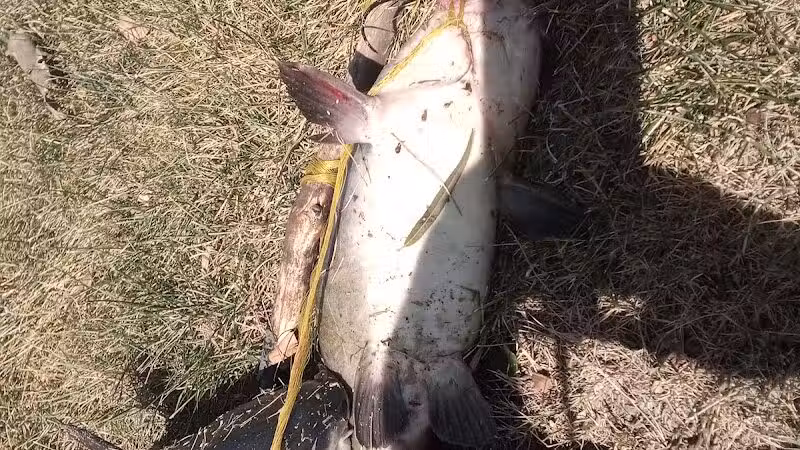 Rivers Edge Park - Piqua, OH