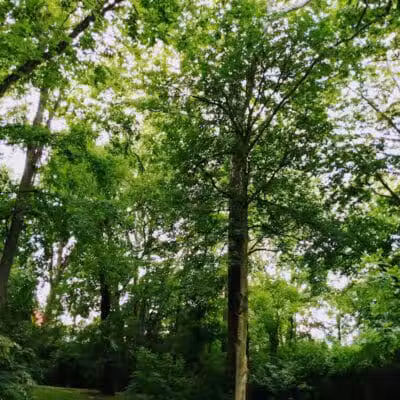 Rivers Edge Park - Piqua, OH