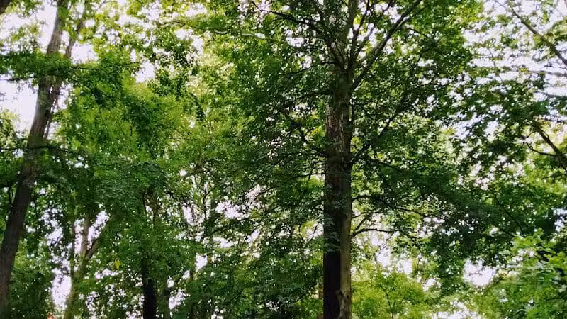 Rivers Edge Park - Piqua, OH