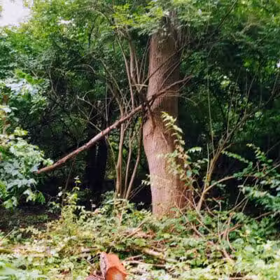 Rivers Edge Park - Piqua, OH