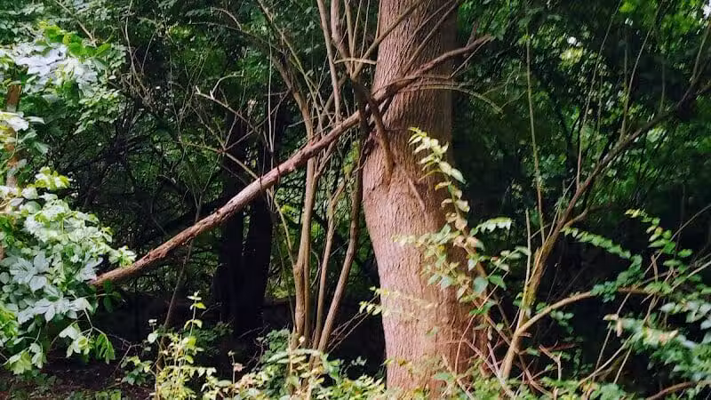 Rivers Edge Park - Piqua, OH