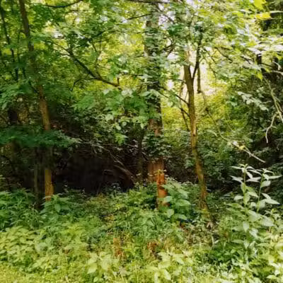 Rivers Edge Park - Piqua, OH