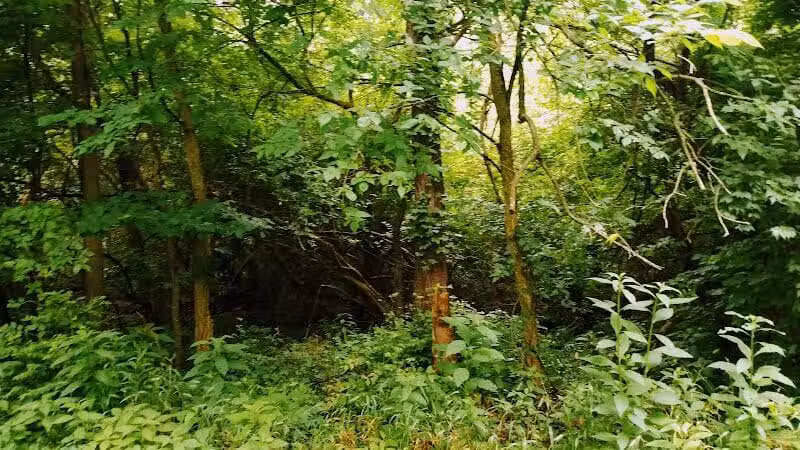 Rivers Edge Park - Piqua, OH