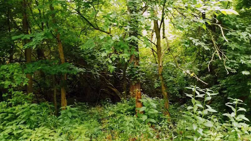 Rivers Edge Park - Piqua, OH