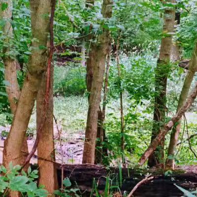 Rivers Edge Park - Piqua, OH