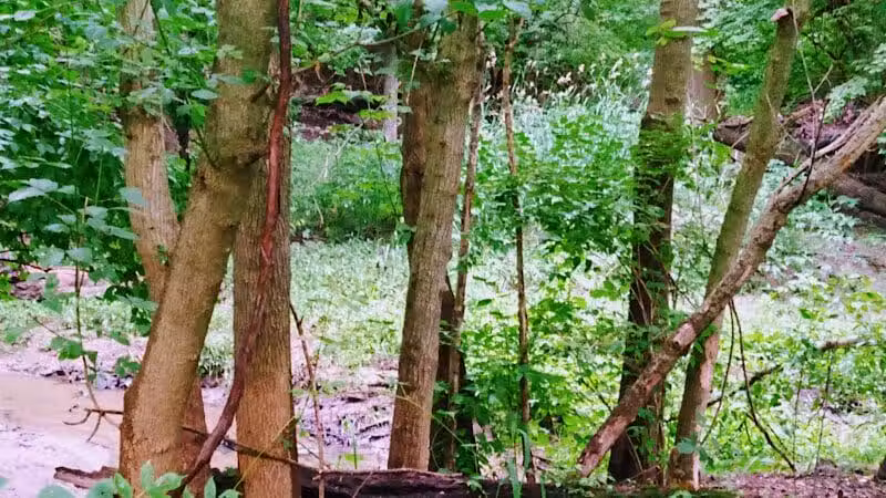 Rivers Edge Park - Piqua, OH