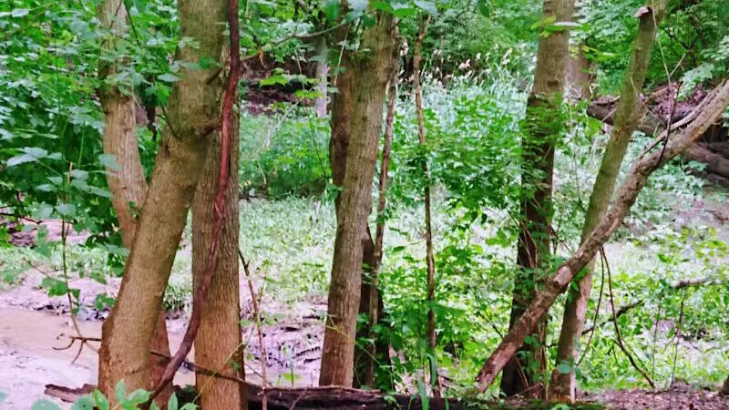 Rivers Edge Park - Piqua, OH